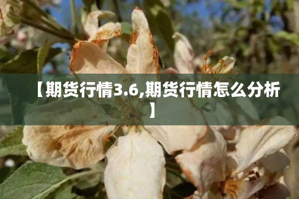 【期货行情3.6,期货行情怎么分析】 【期货行情3.6,期货行情怎么分析】