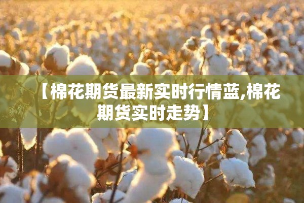【棉花期货最新实时行情蓝,棉花期货实时走势】