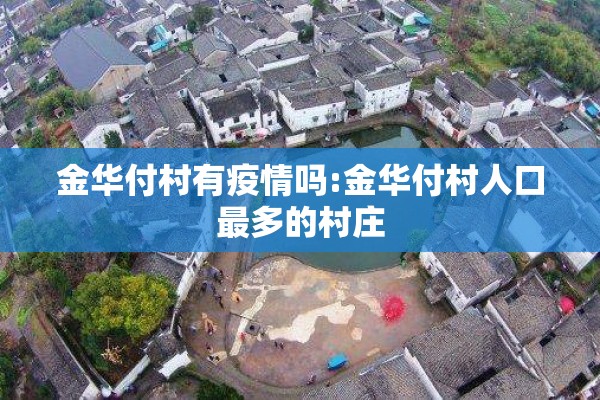金华付村有疫情吗:金华付村人口最多的村庄
