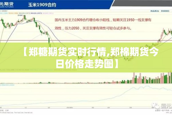【郑糖期货实时行情,郑棉期货今日价格走势图】