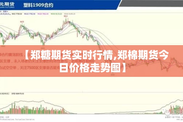 【郑糖期货实时行情,郑棉期货今日价格走势图】
