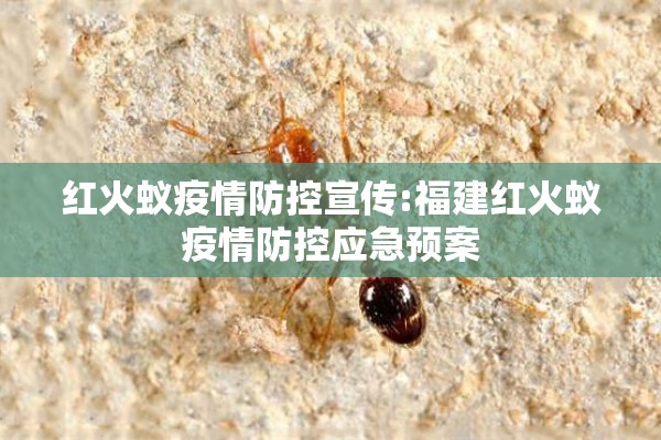 红火蚁疫情防控宣传:福建红火蚁疫情防控应急预案 红火蚁疫情防控宣传:福建红火蚁疫情防控应急预案