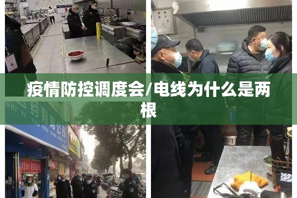 疫情防控调度会/电线为什么是两根