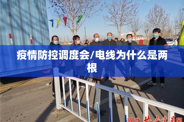 疫情防控调度会/电线为什么是两根