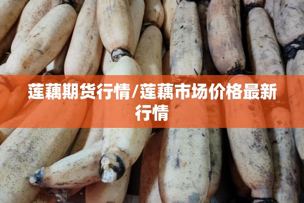 莲藕期货行情/莲藕市场价格最新行情