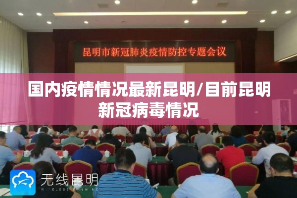 国内疫情情况最新昆明/目前昆明新冠病毒情况 国内疫情情况最新昆明/目前昆明新冠病毒情况