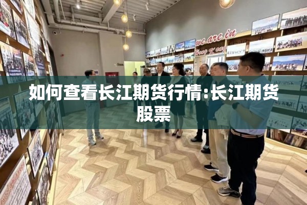 如何查看长江期货行情:长江期货股票