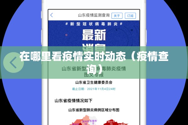 在哪里看疫情实时动态(疫情查询) 在哪里看疫情实时动态(疫情查询)