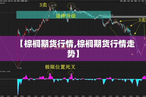 【棕榈期货行情,棕榈期货行情走势】