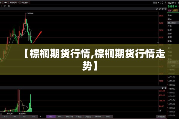 【棕榈期货行情,棕榈期货行情走势】