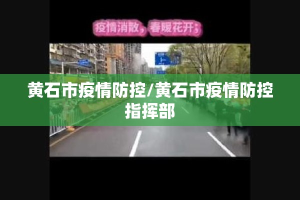 黄石市疫情防控/黄石市疫情防控指挥部