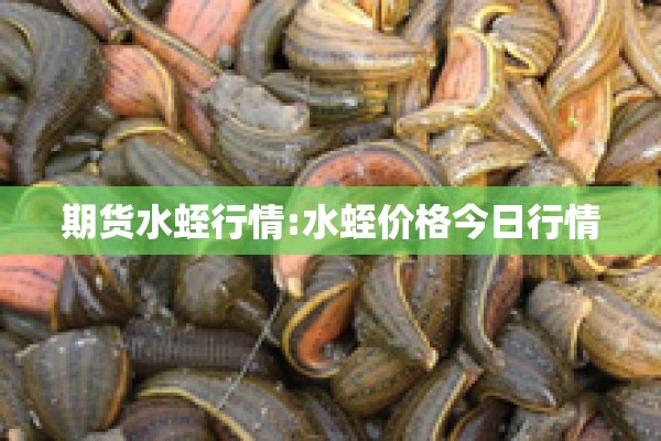 期货水蛭行情:水蛭价格今日行情 期货水蛭行情:水蛭价格今日行情