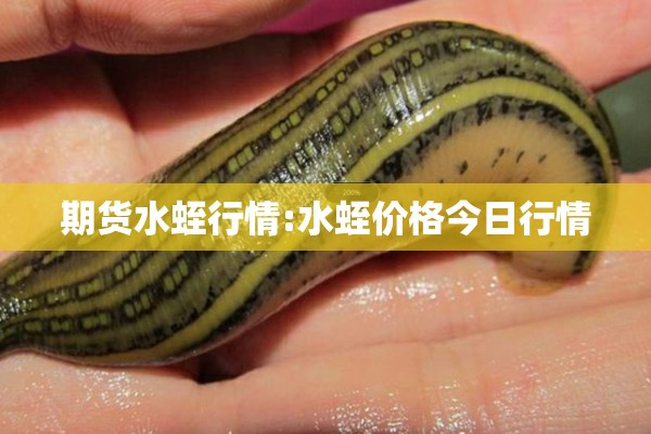 期货水蛭行情:水蛭价格今日行情 期货水蛭行情:水蛭价格今日行情