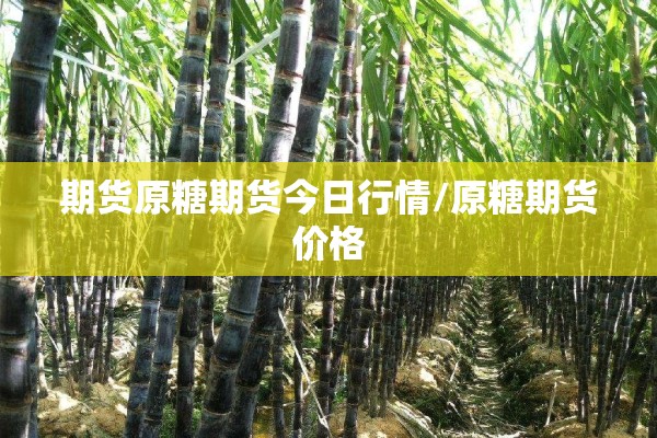 期货原糖期货今日行情/原糖期货价格