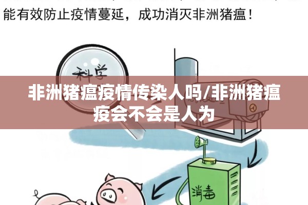 非洲猪瘟疫情传染人吗/非洲猪瘟疫会不会是人为