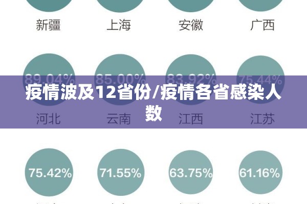 疫情波及12省份/疫情各省感染人数