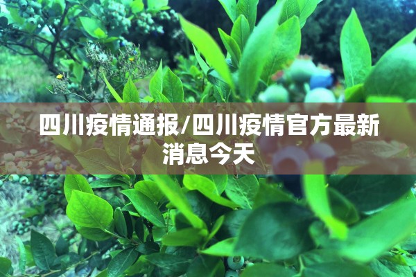四川疫情通报/四川疫情官方最新消息今天