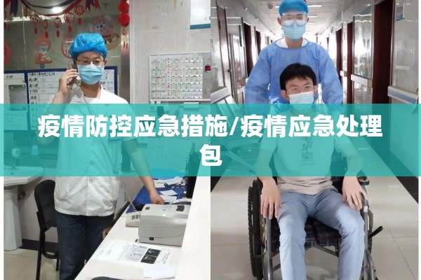 疫情防控应急措施/疫情应急处理包