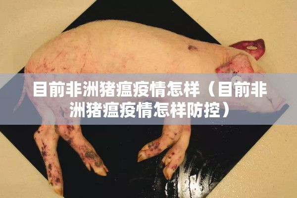 目前非洲猪瘟疫情怎样(目前非洲猪瘟疫情怎样防控) 目前非洲猪瘟疫情怎样(目前非洲猪瘟疫情怎样防控)