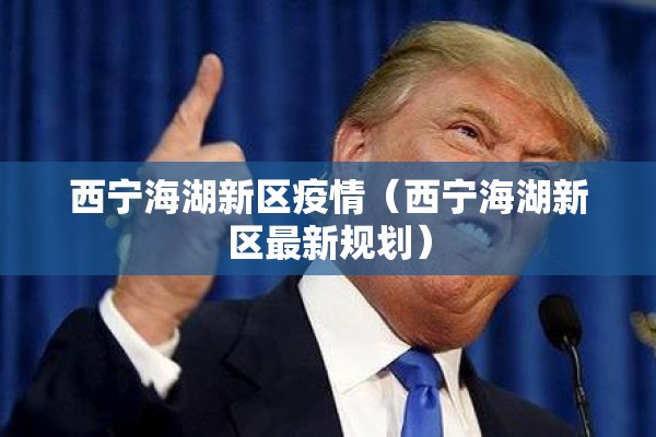 西宁海湖新区疫情（西宁海湖新区最新规划）