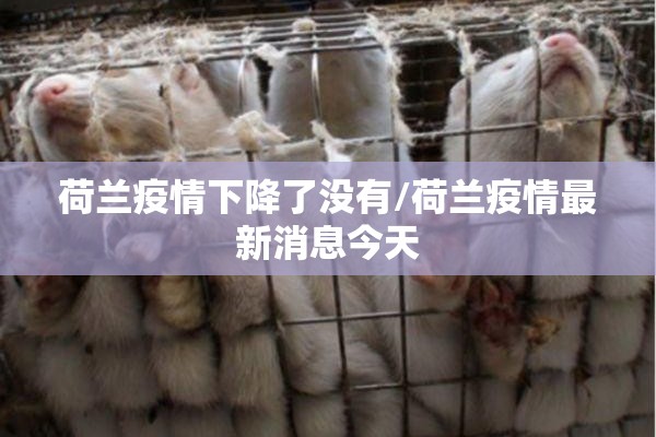 荷兰疫情下降了没有/荷兰疫情最新消息今天
