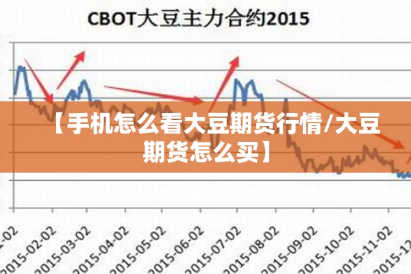 【手机怎么看大豆期货行情/大豆期货怎么买】