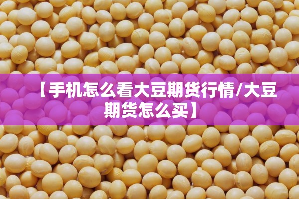 【手机怎么看大豆期货行情/大豆期货怎么买】