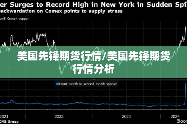 美国先锋期货行情/美国先锋期货行情分析