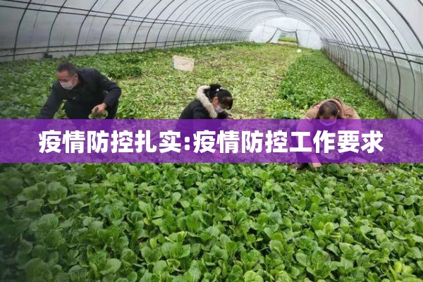 疫情防控扎实:疫情防控工作要求