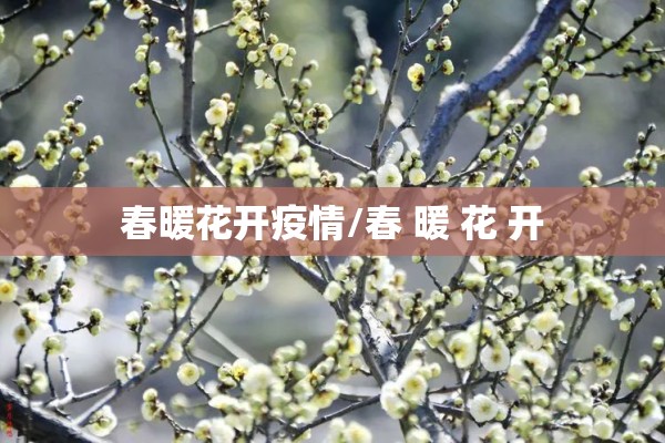 春暖花开疫情/春 暖 花 开