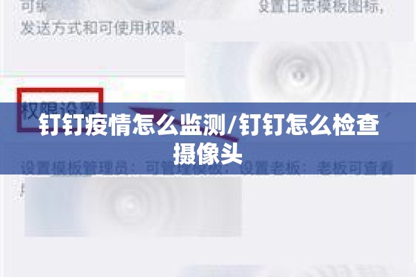 钉钉疫情怎么监测/钉钉怎么检查摄像头