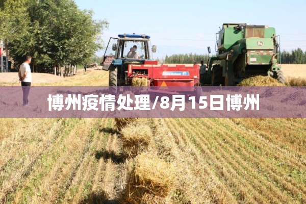 博州疫情处理/8月15日博州