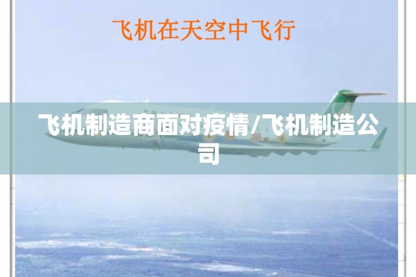 飞机制造商面对疫情/飞机制造公司