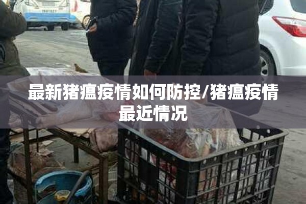 最新猪瘟疫情如何防控/猪瘟疫情最近情况