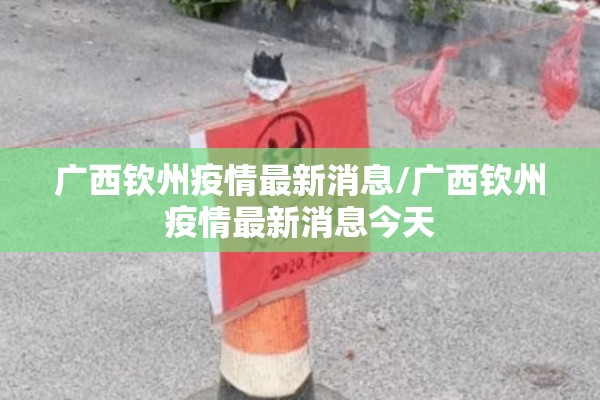 广西钦州疫情最新消息/广西钦州疫情最新消息今天 广西钦州疫情最新消息/广西钦州疫情最新消息今天
