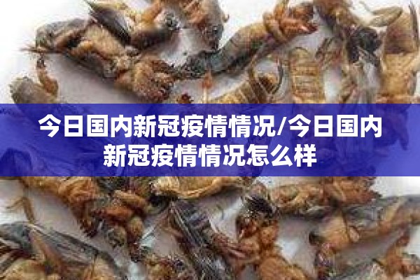 今日国内新冠疫情情况/今日国内新冠疫情情况怎么样