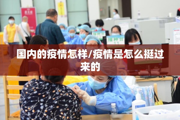 国内的疫情怎样/疫情是怎么挺过来的