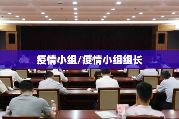 疫情小组/疫情小组组长 疫情小组/疫情小组组长