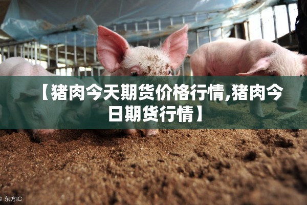 【猪肉今天期货价格行情,猪肉今日期货行情】