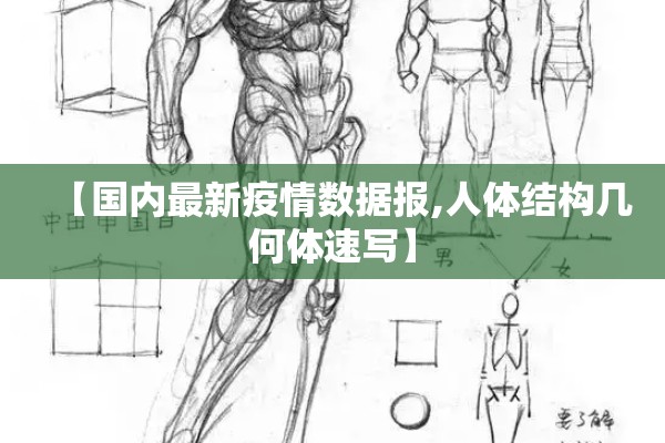 【国内最新疫情数据报,人体结构几何体速写】 【国内最新疫情数据报,人体结构几何体速写】
