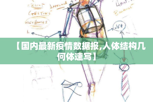 【国内最新疫情数据报,人体结构几何体速写】 【国内最新疫情数据报,人体结构几何体速写】