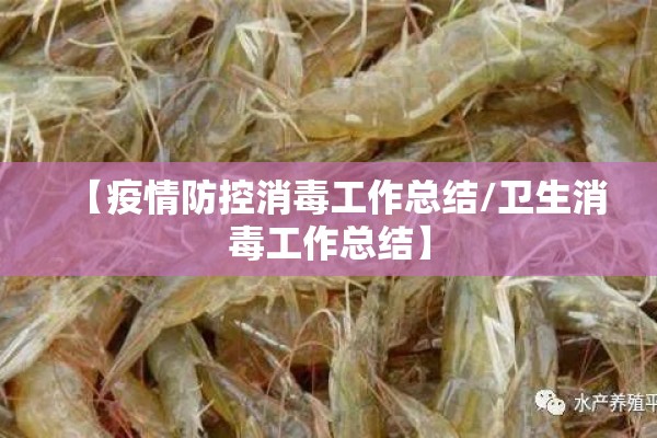 【疫情防控消毒工作总结/卫生消毒工作总结】 【疫情防控消毒工作总结/卫生消毒工作总结】