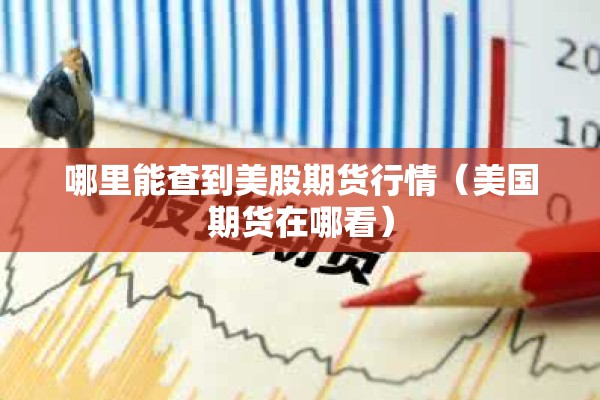 哪里能查到美股期货行情(美国期货在哪看) 哪里能查到美股期货行情(美国期货在哪看)