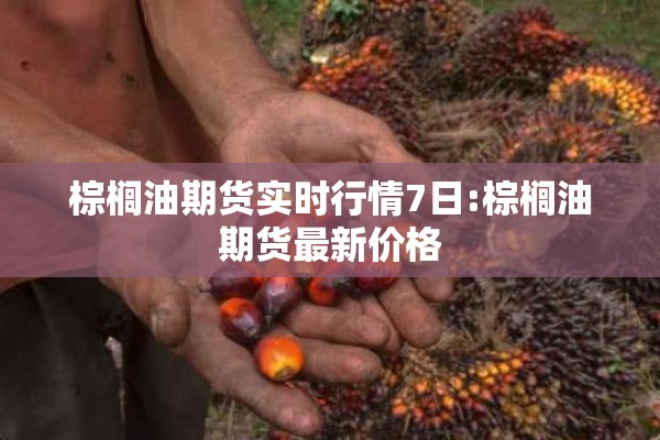 棕榈油期货实时行情7日:棕榈油期货最新价格 棕榈油期货实时行情7日:棕榈油期货最新价格