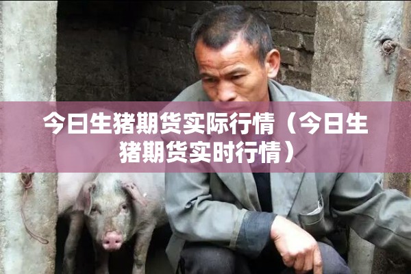 今曰生猪期货实际行情（今日生猪期货实时行情）