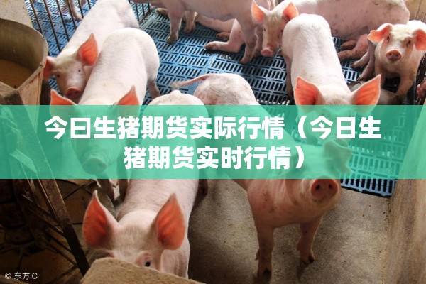 今曰生猪期货实际行情（今日生猪期货实时行情）