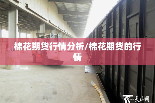 棉花期货行情分析/棉花期货的行情
