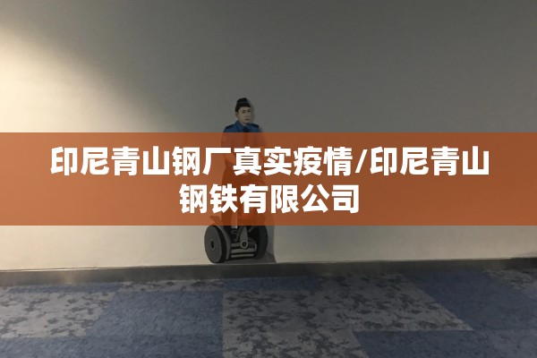 印尼青山钢厂真实疫情/印尼青山钢铁有限公司 印尼青山钢厂真实疫情/印尼青山钢铁有限公司