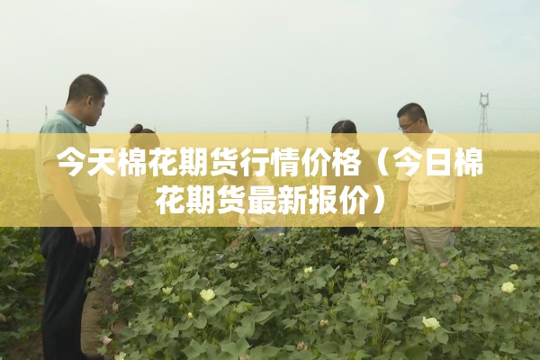 今天棉花期货行情价格(今日棉花期货最新报价) 今天棉花期货行情价格(今日棉花期货最新报价)