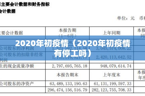 2020年初疫情（2020年初疫情有停工吗）